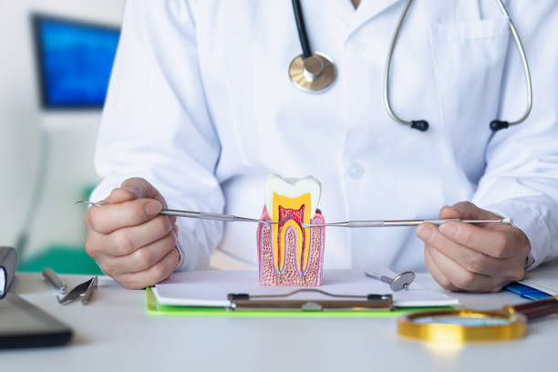 Best Weekend Emergency Dentist in Standish, MI